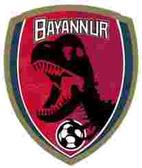 主队
